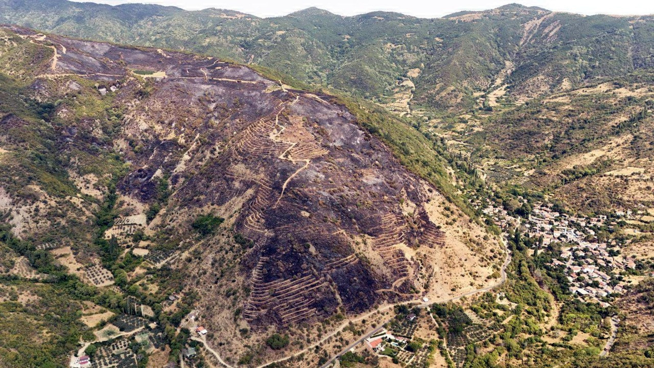 Tekirdağ'daki yangınla ilgili gözaltına alınan kişi serbest