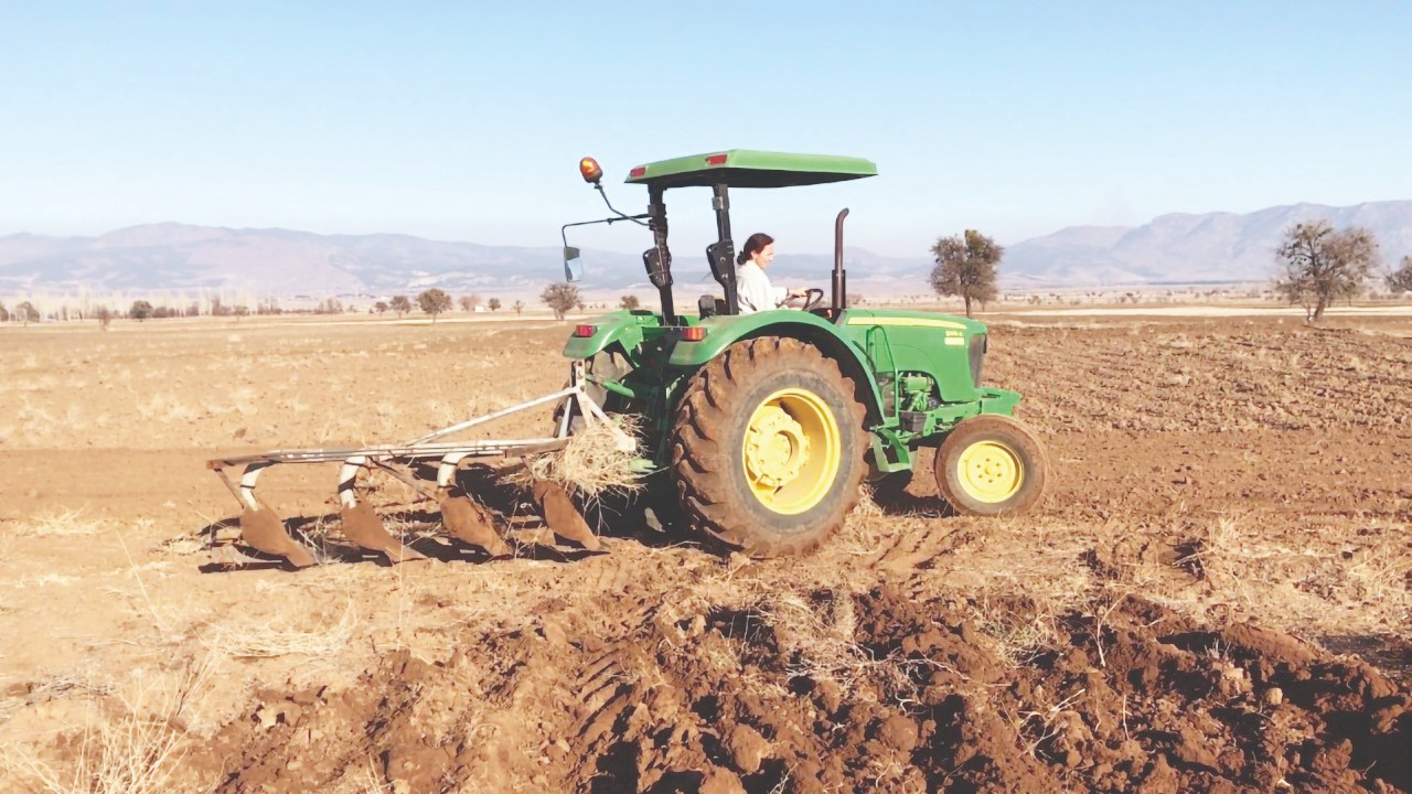 Tarlalar, traktörler açık artırmada