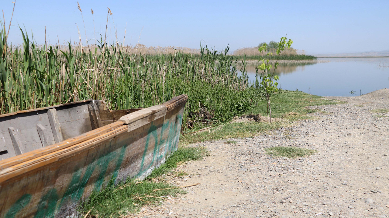 Bakanlık koruma altına almıştı... 3 yıl sonra tamamen yok olacak