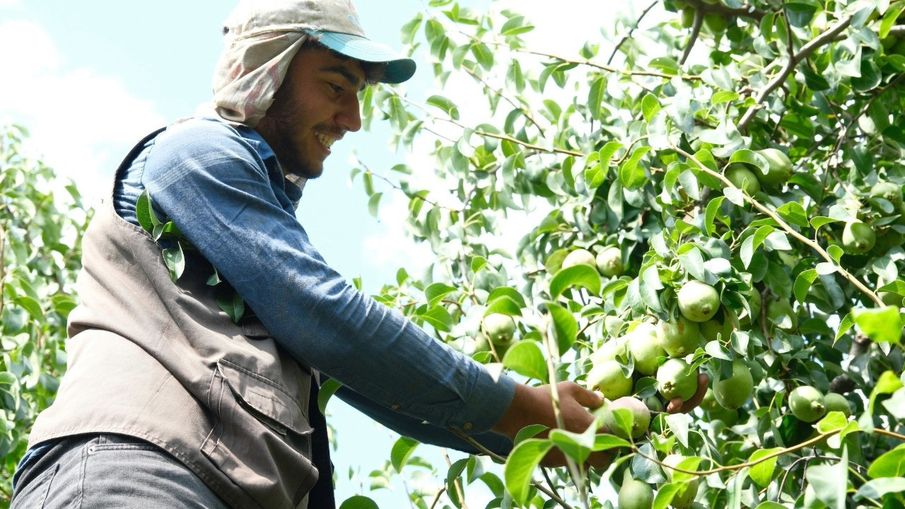 İtalyanlardan öğrendiler, onları geride bıraktılar