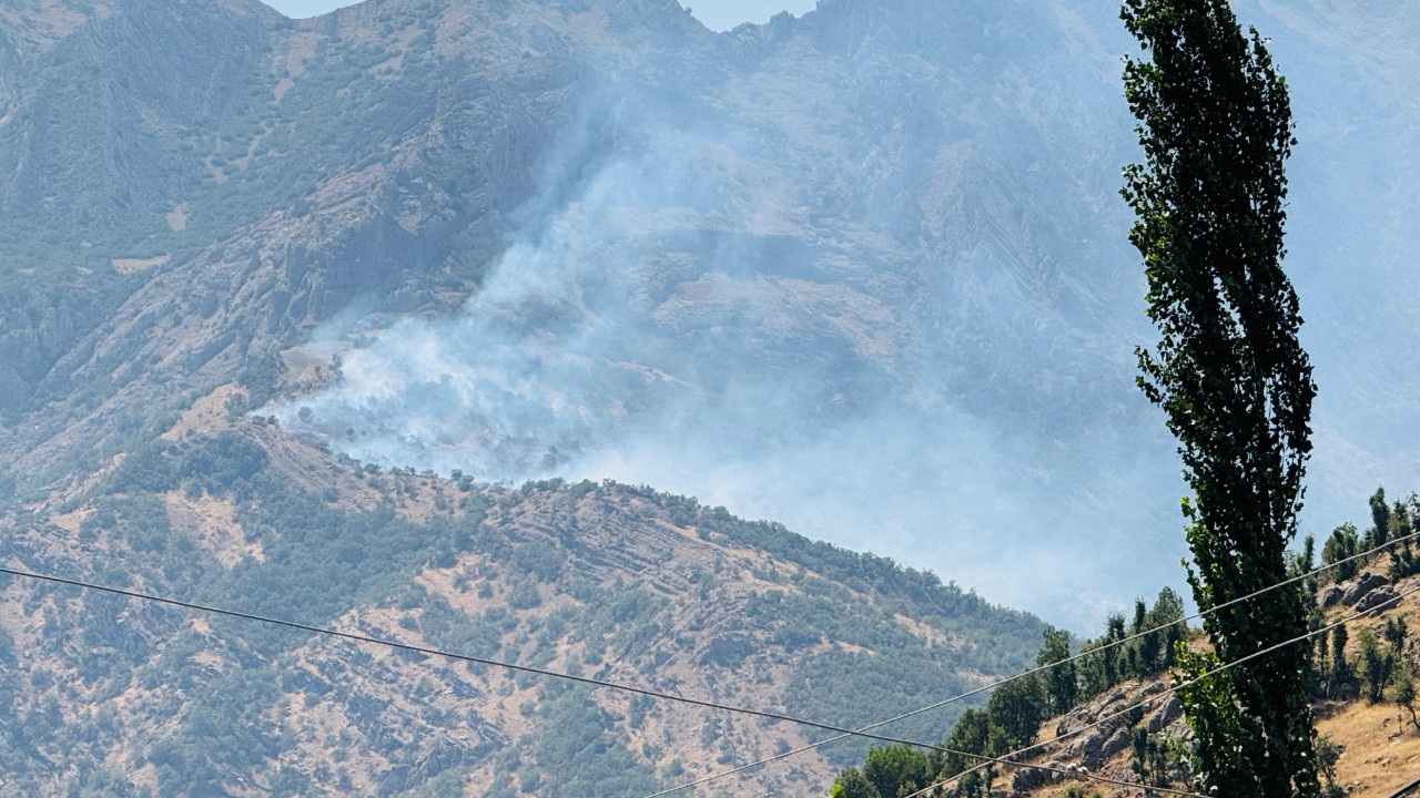 Şırnak'ta orman yangını