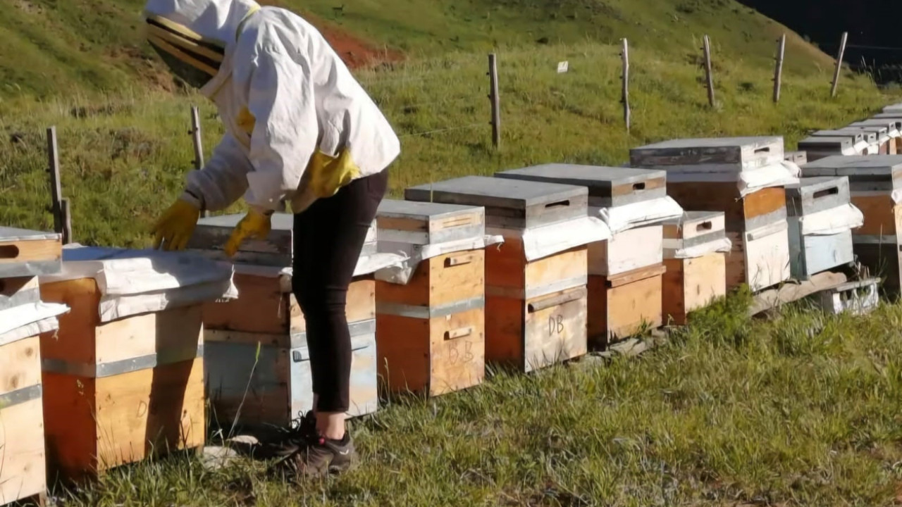 Tunceli balının fiyatı belli oldu