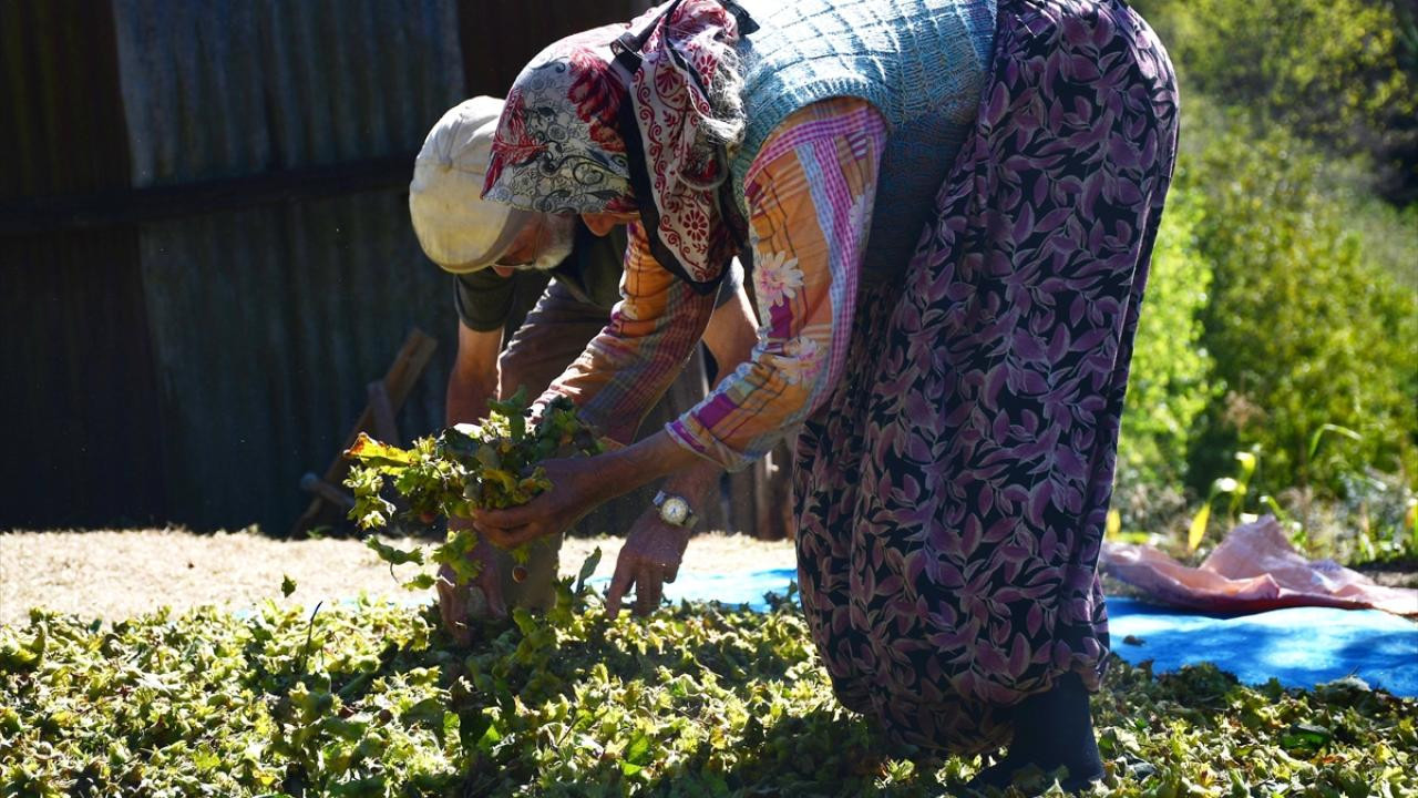 Açıklanan fiyata sert eleştiri: Alay etmek bu, saygısızlık