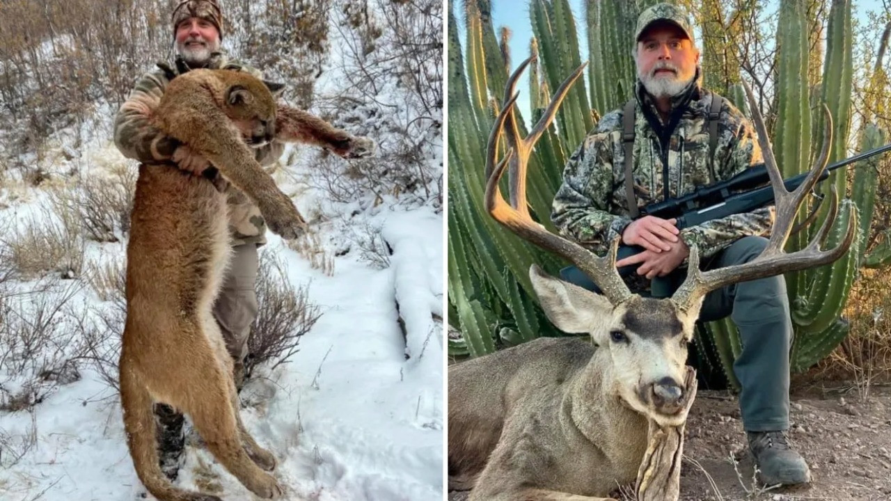 Milyoner avcı, manda saldırısında öldü