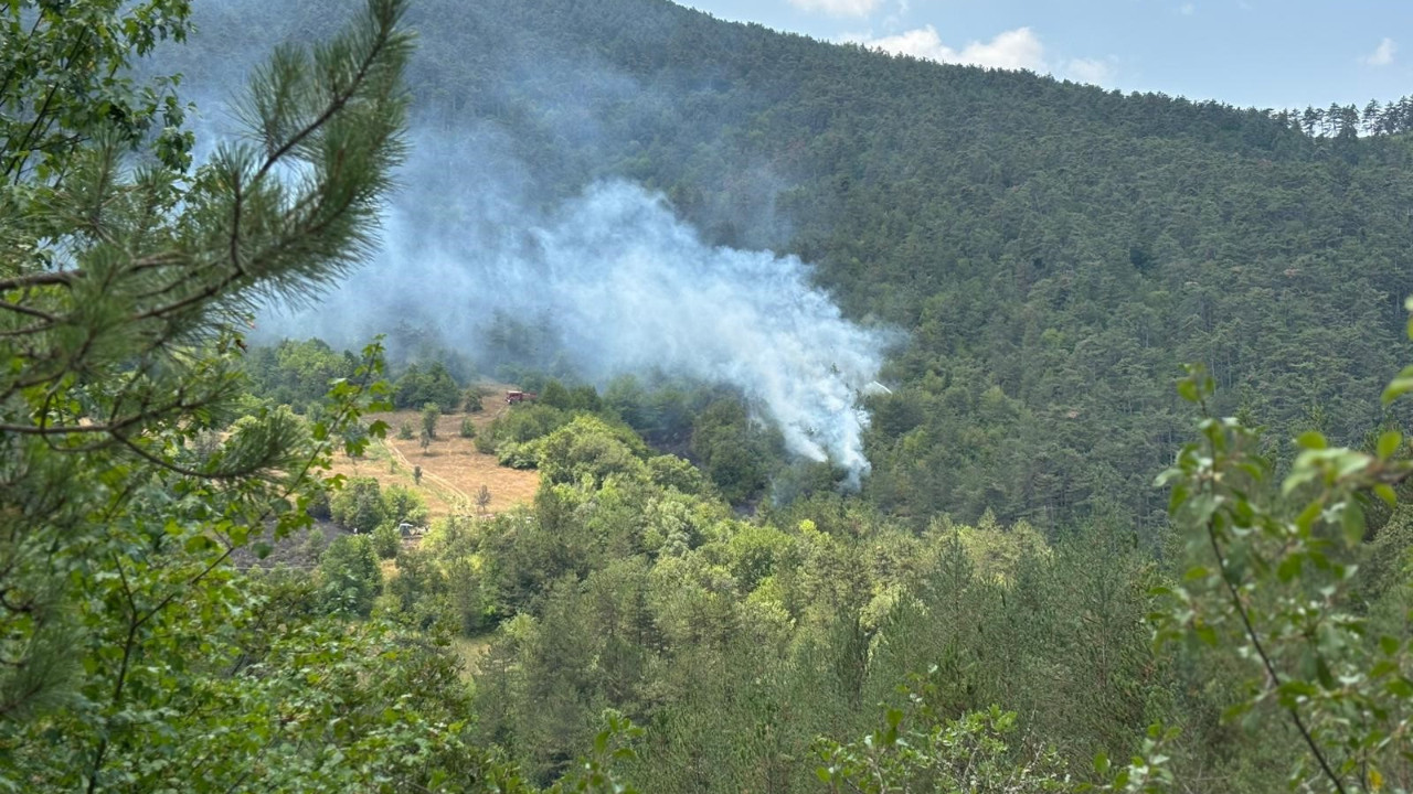 Bolu’da orman yangını