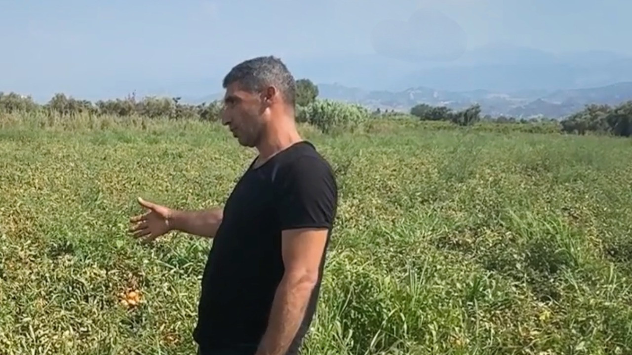 İsyan etti: 150 bin TL'yi çöpe attım