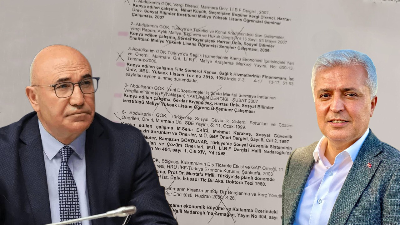 Mahmut Tanal'dan AKP'li eski vekil için intihal iddiası: Cumhurbaşkanlığı nasıl göreve getirdi?