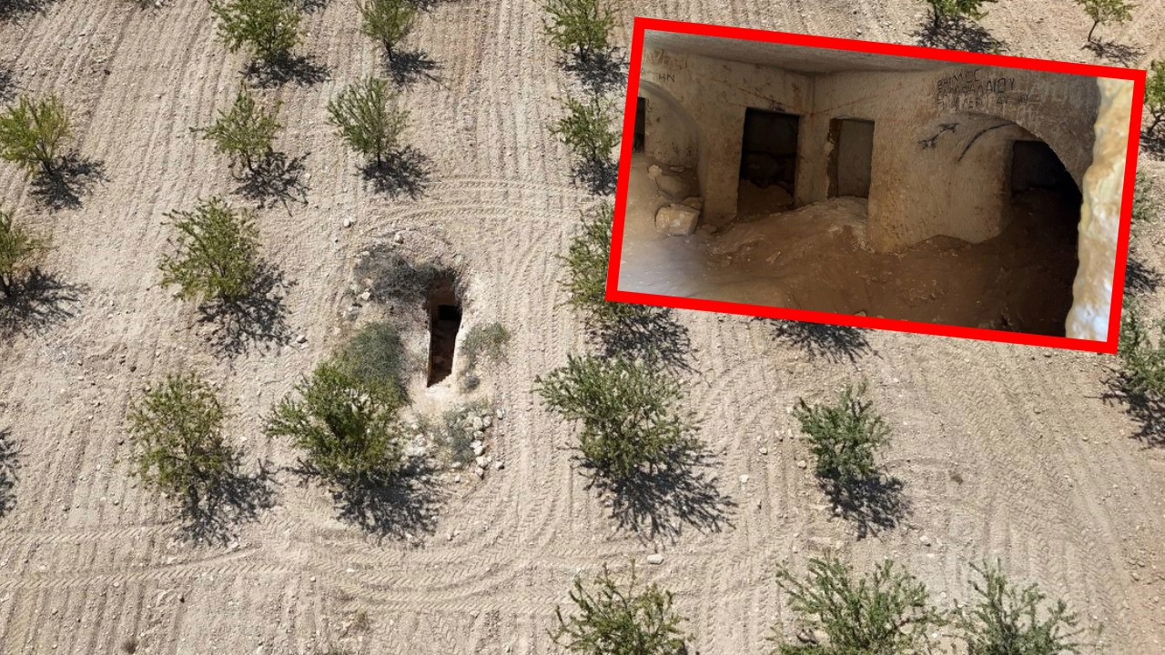 Fıstık tarlasından binlerce yıllık kaya mezarı çıktı