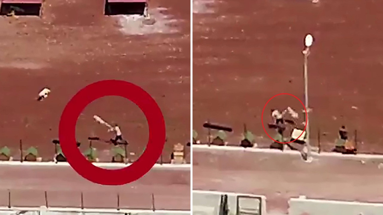 Köpeğe kürekle vuran barınak görevlisine soruşturma başlatıldı