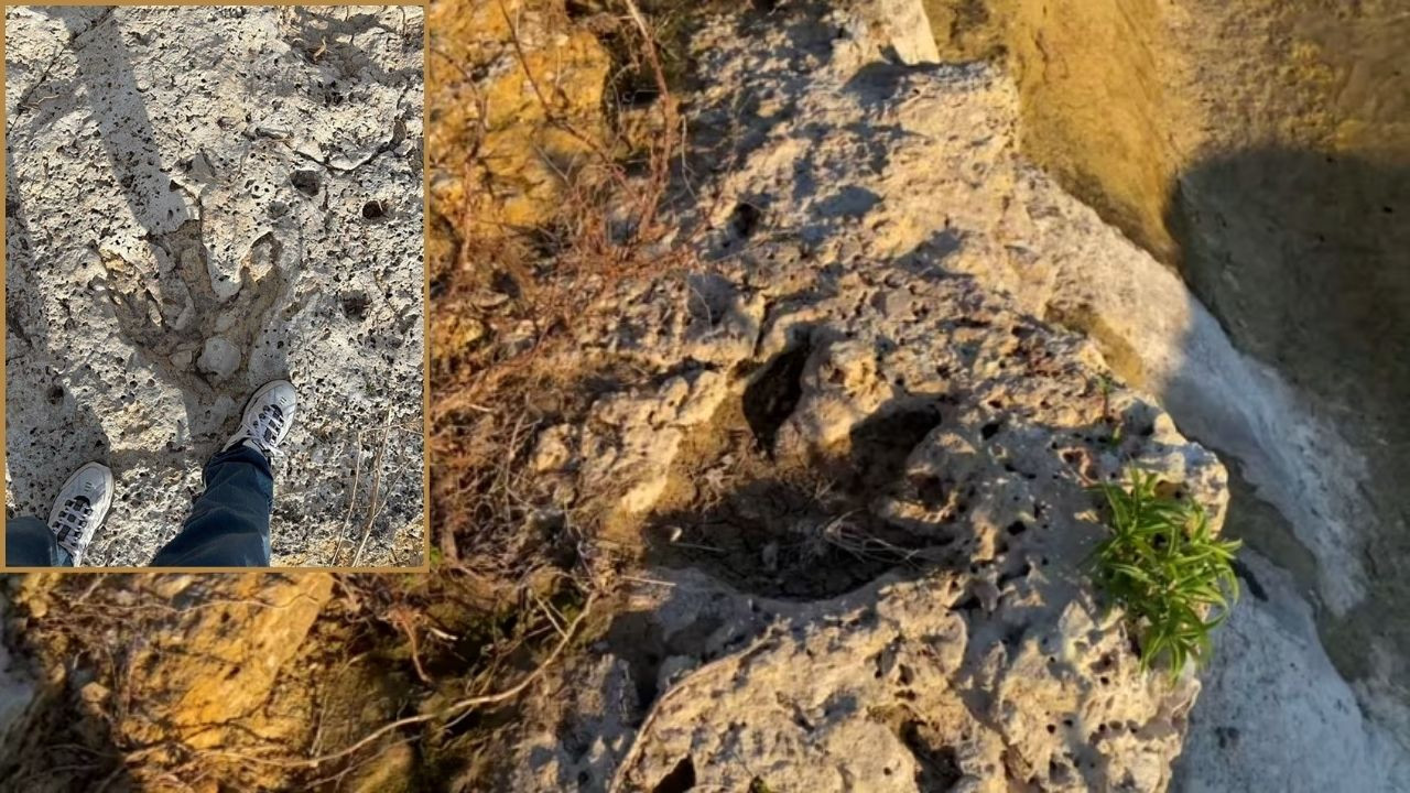 Sel suları, 100 milyon yıllık dinozor izlerini ortaya çıkardı