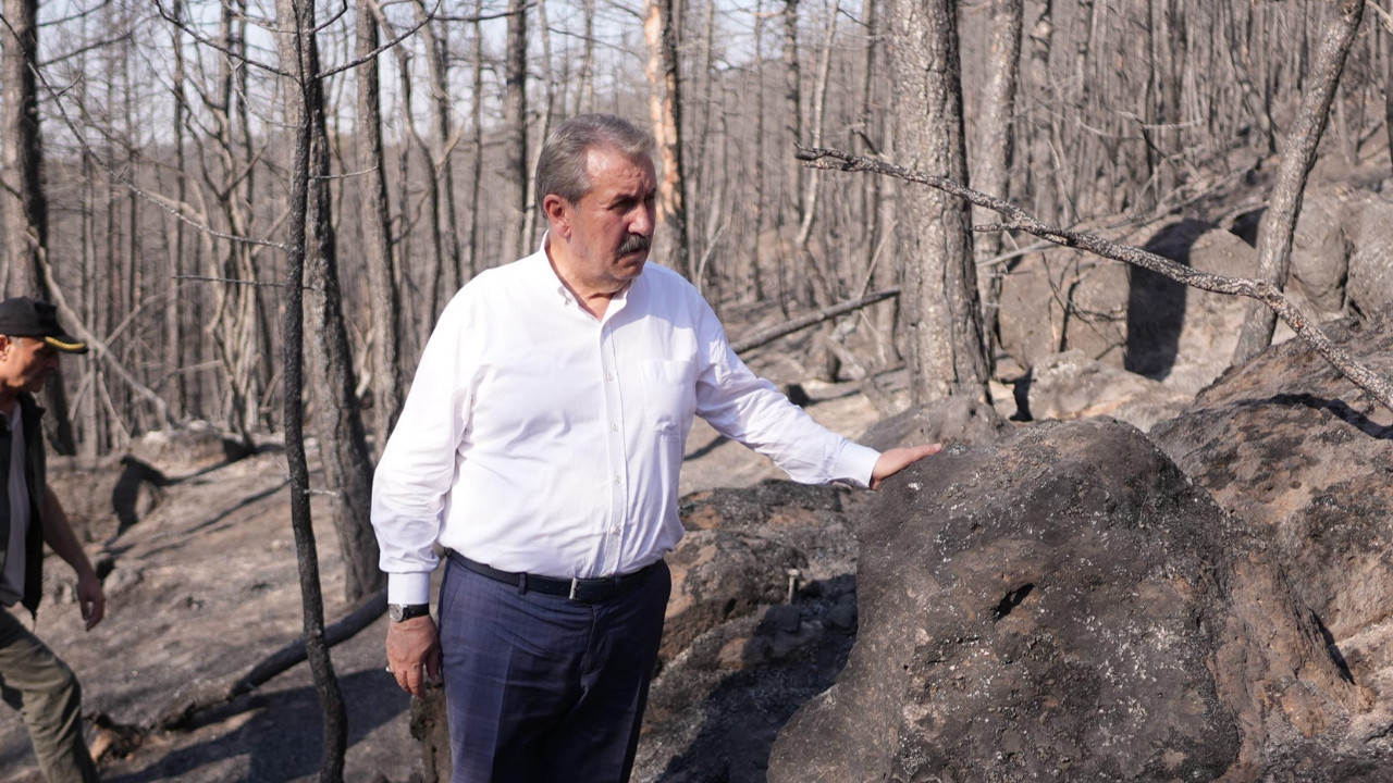 Destici: Orman yakan idam edilsin
