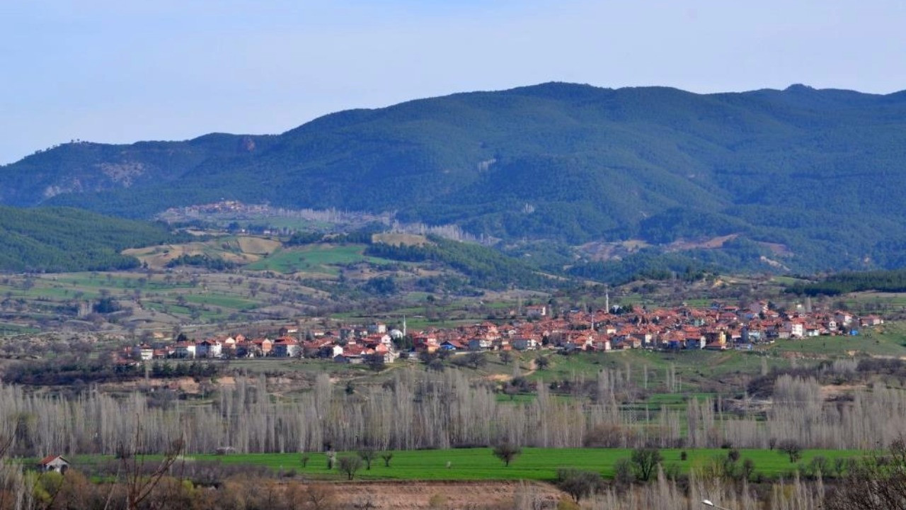 Sandık başına gittiler: 'Evet' diyenlerin sayısı 715