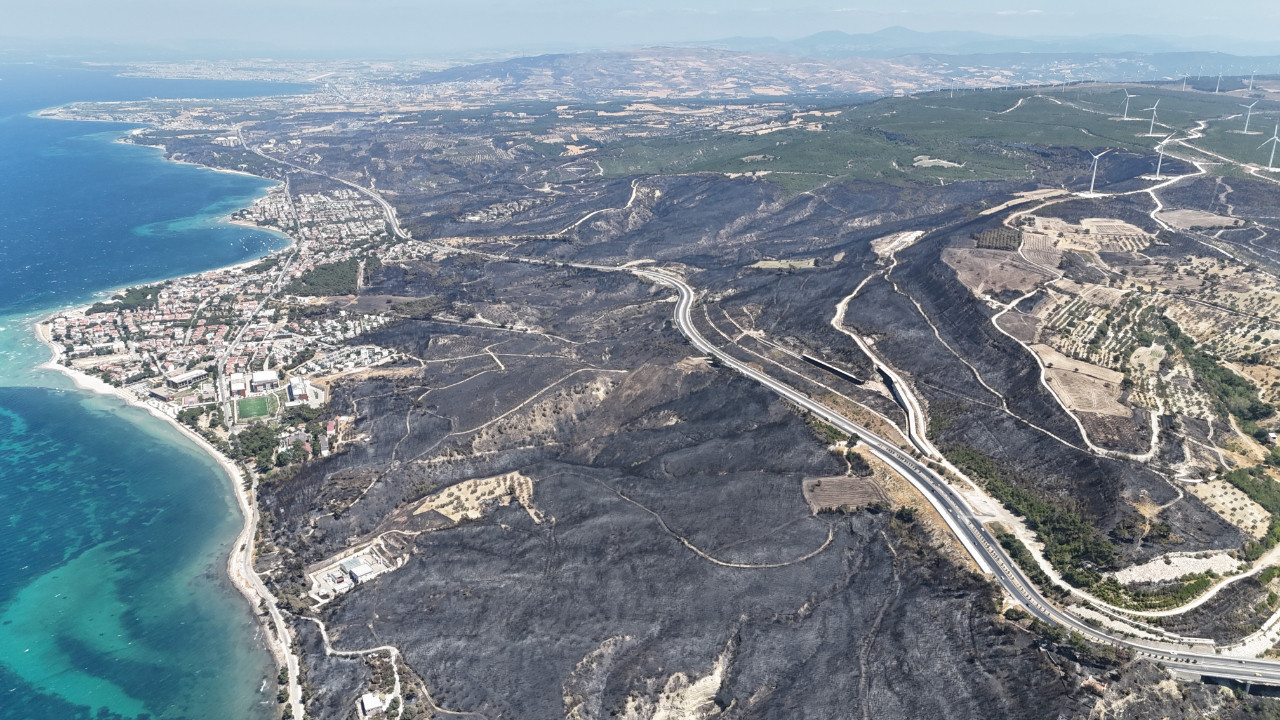 Çanakkale'de yangından geriye bu acı tablo kaldı