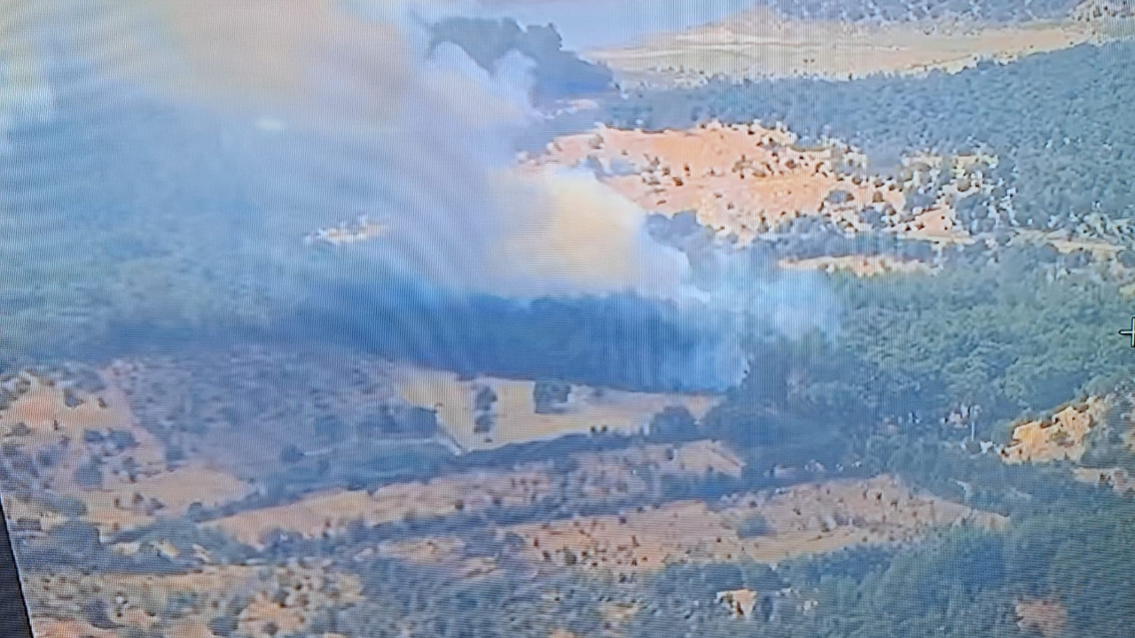 Çanakkale'de yine orman yangını