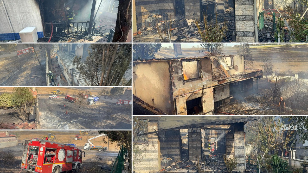 Otluk alanda çıkan yangın evlere sıçradı