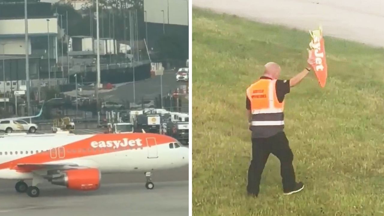 Kanatları kırıldı, uçamadılar