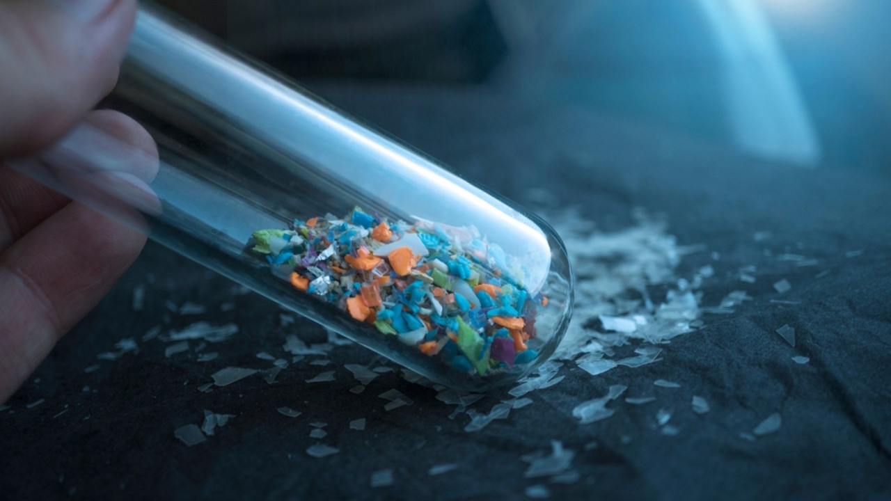 Mikro ve nanoplastikler beyne kadar ulaşıyor