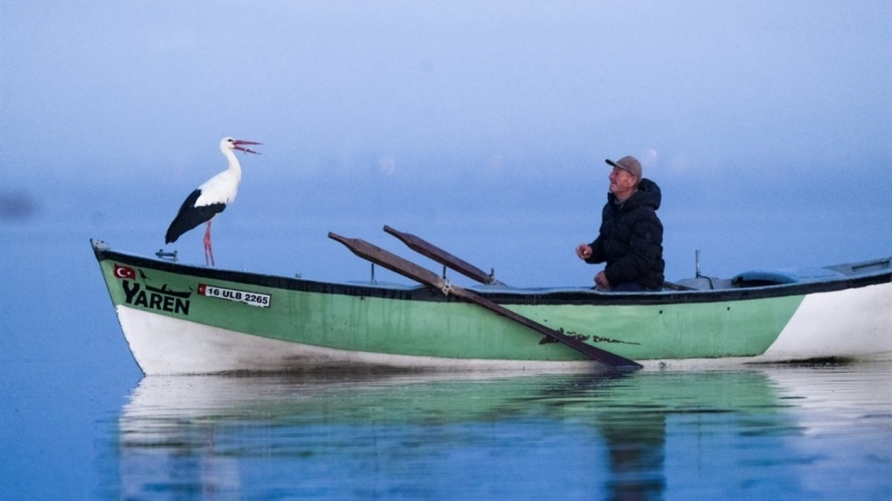 Yaren Leylek’in yavrularından biri Mısır’da, diğeri Batı Şeria’da