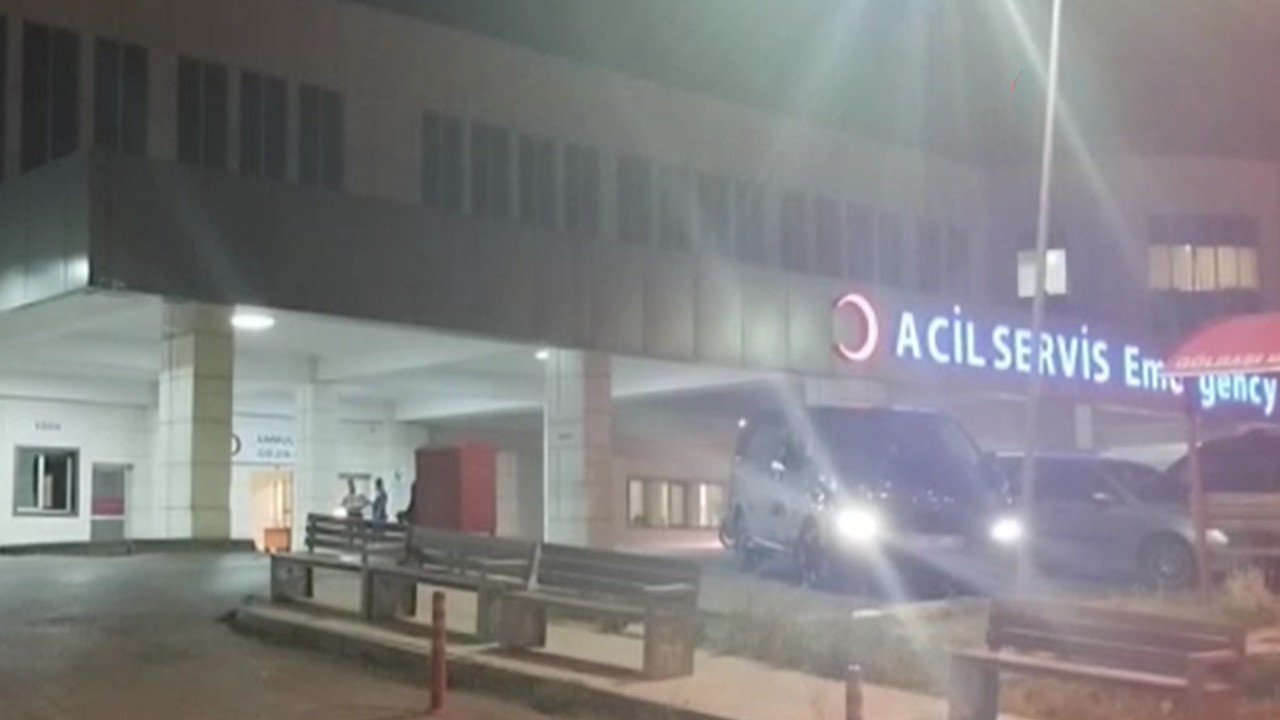 Kurtarmaya çalıştığı kuzeniyle beraber can verdi