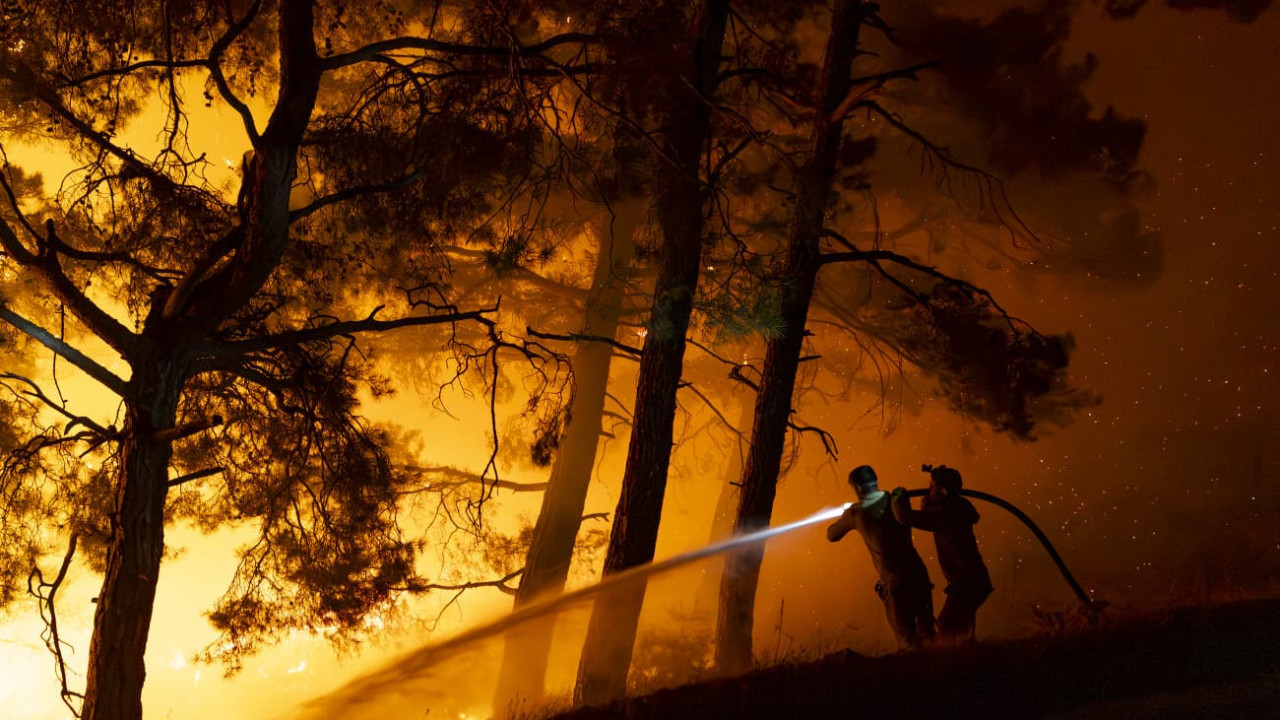Mersin'de 15 bin dönümlük ormanı yakan yangının sebebi ortaya çıktı