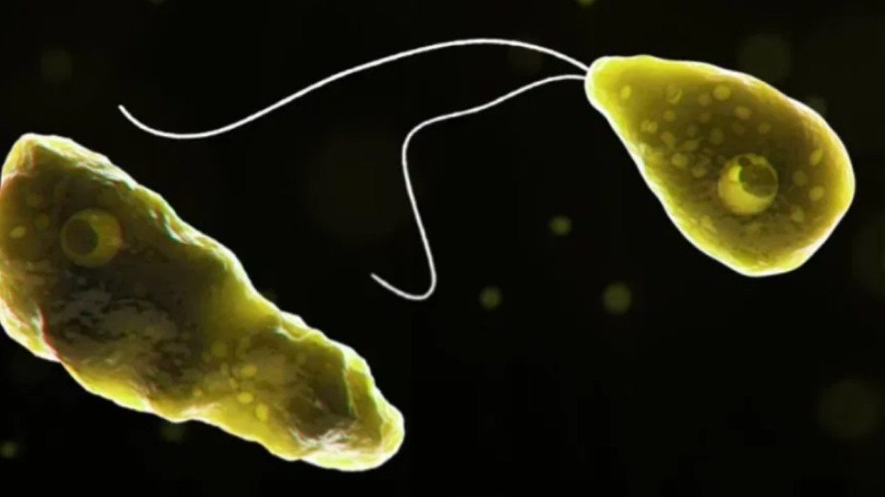 9 yaşındaki çocuk 'Beyin Yiyen Amip' enfeksiyonundan öldü