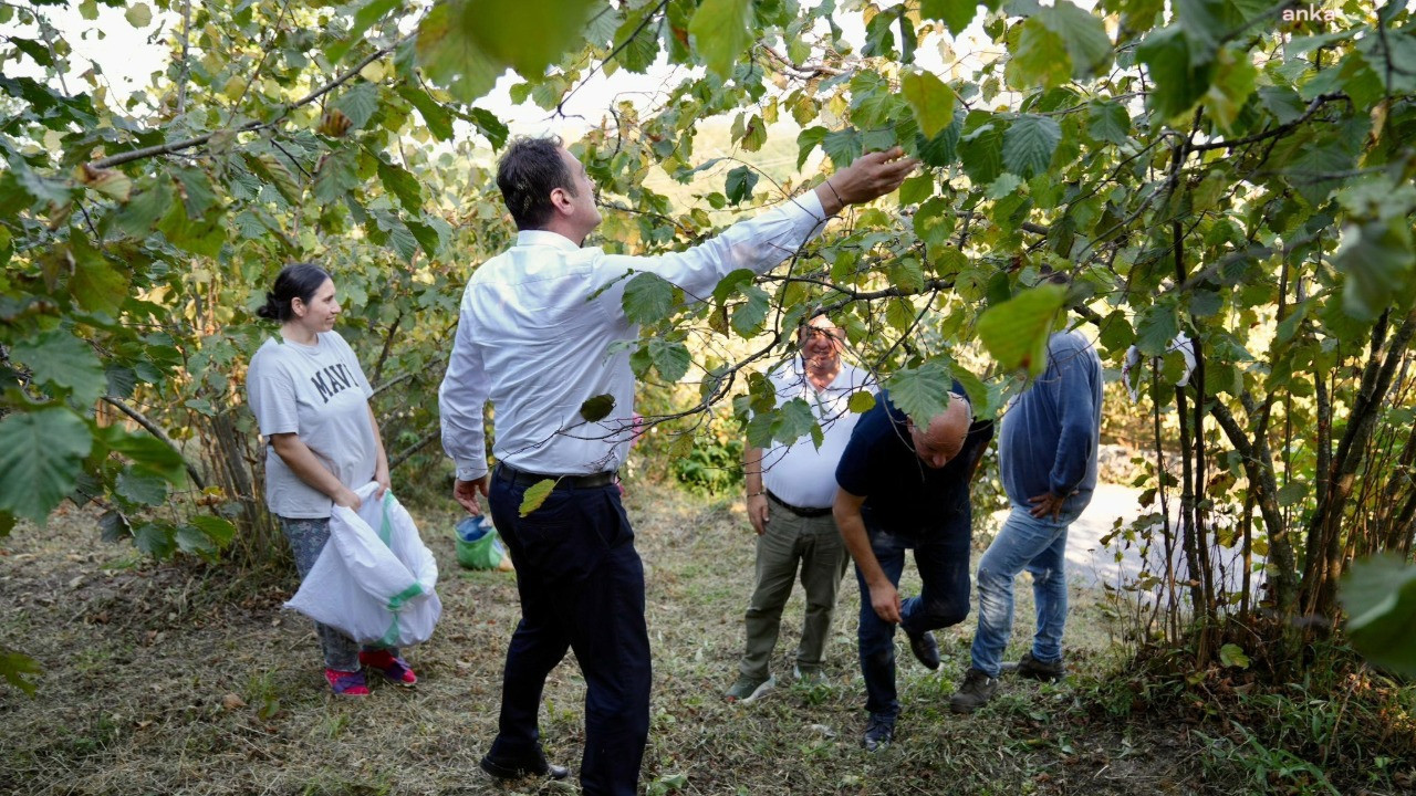 'Bir an önce revize edin' çağrısı: 200 TL maliyetini bile karşılamıyor