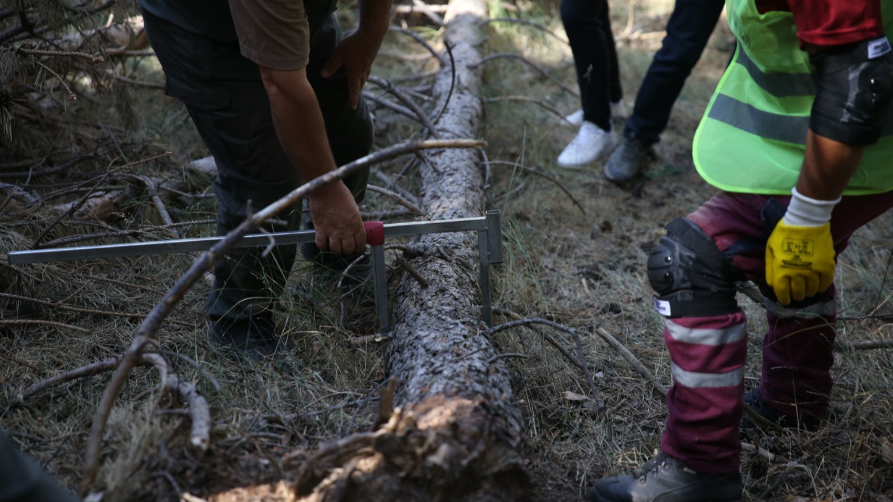 Erzurum'da yangın önlemi: Ormanlar kesiliyor