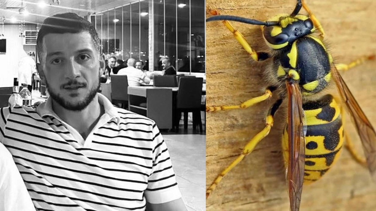 Yolda yürürken arı soktu saatler içinde öldü