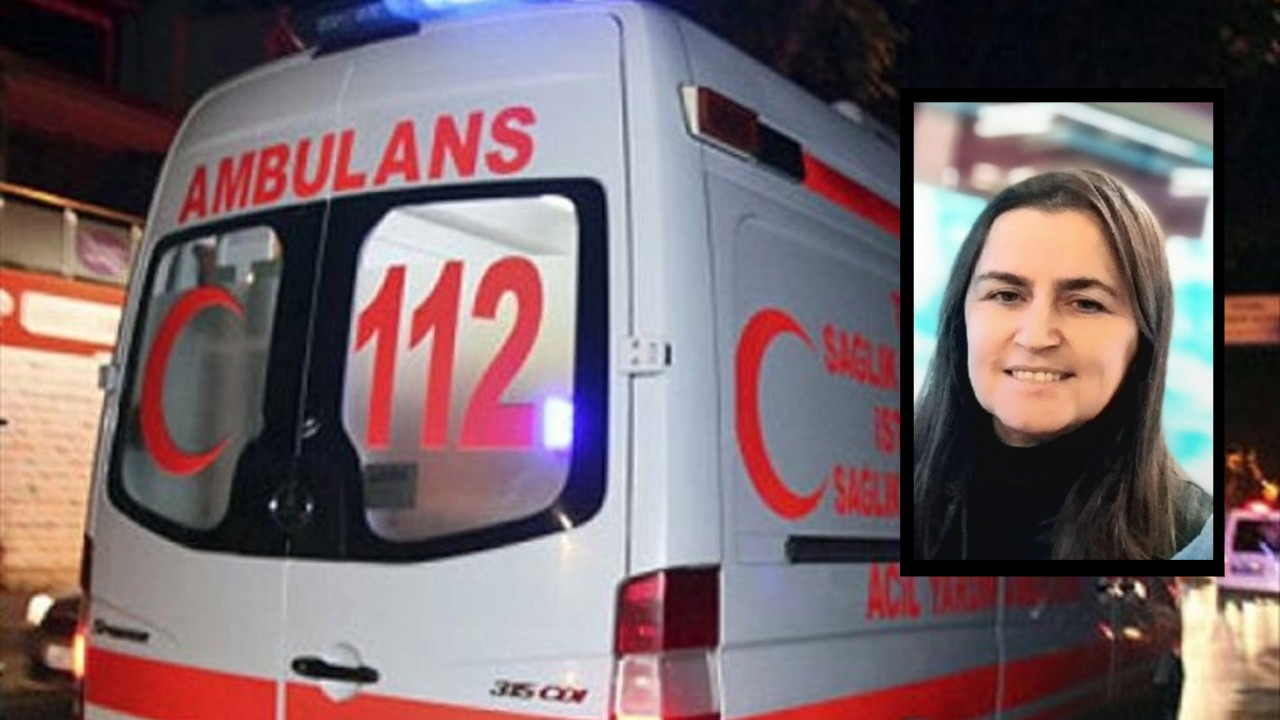 Arıların soktuğu kadın öldü