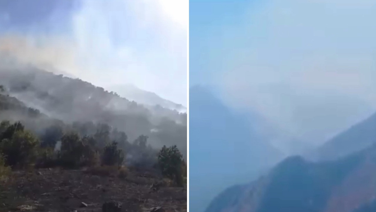 Hakkari Yüksekova'da orman yangını