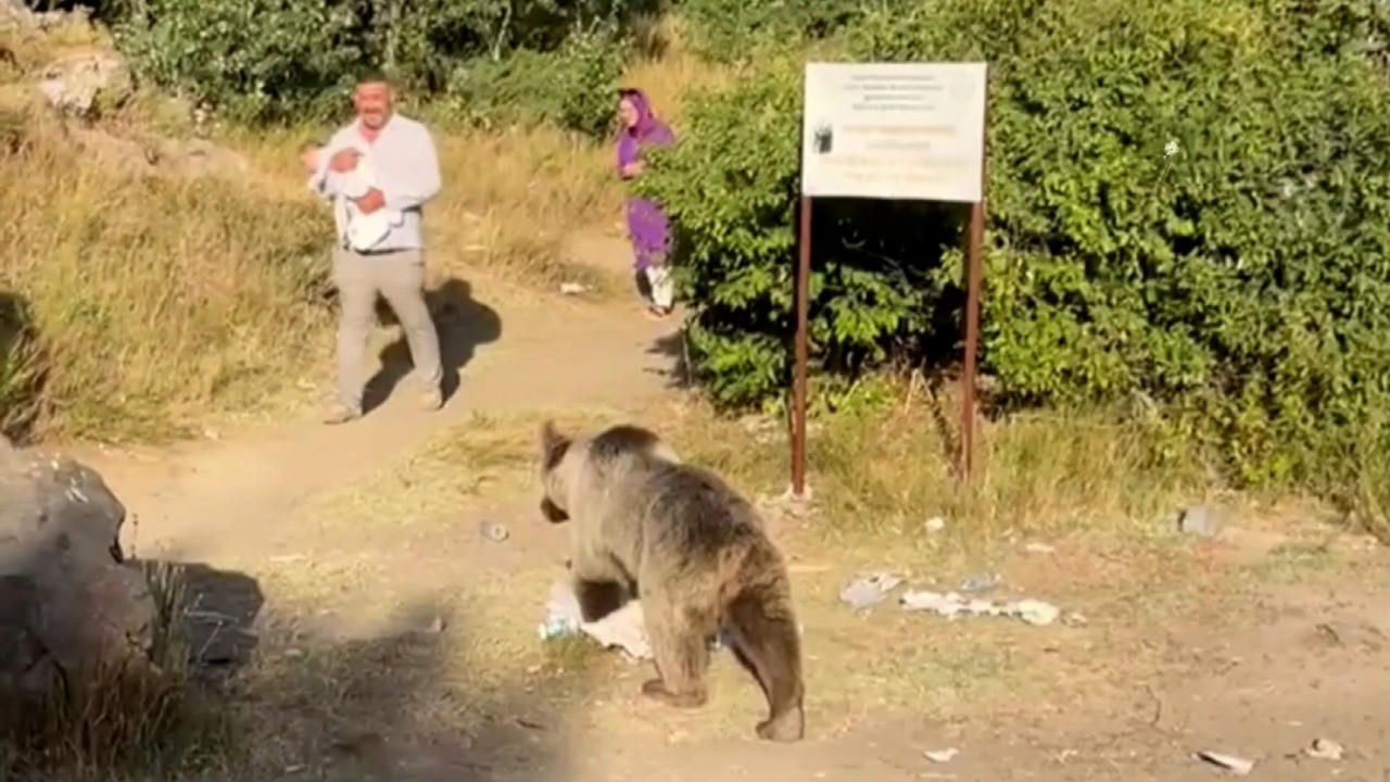 Kucağında bebekle ayı saldırısına uğradı