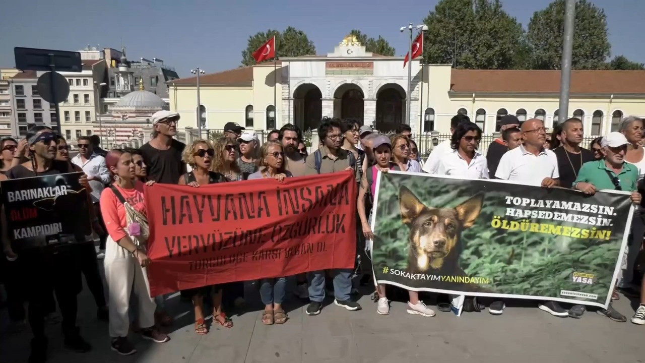 Hayvan hakları savunucularından 'toplatma' genelgesine protesto