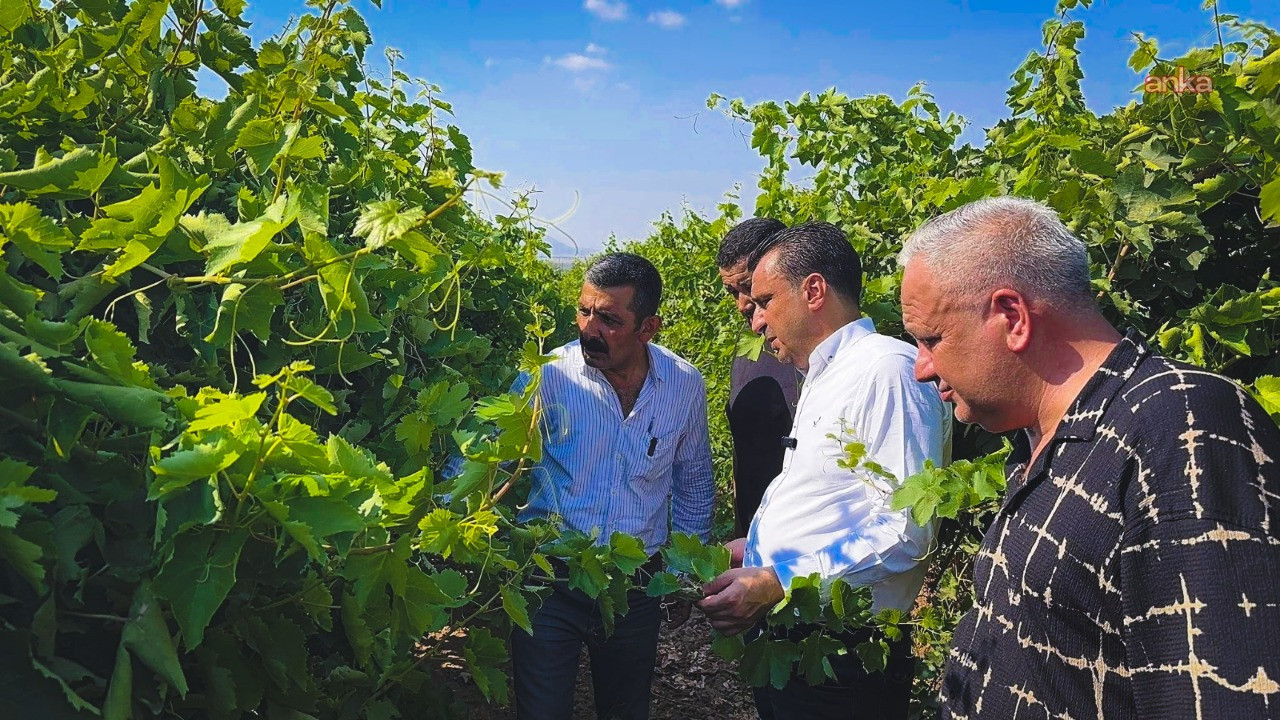 İtiraz etti: Zaten geçen sene 100 TL'ydi