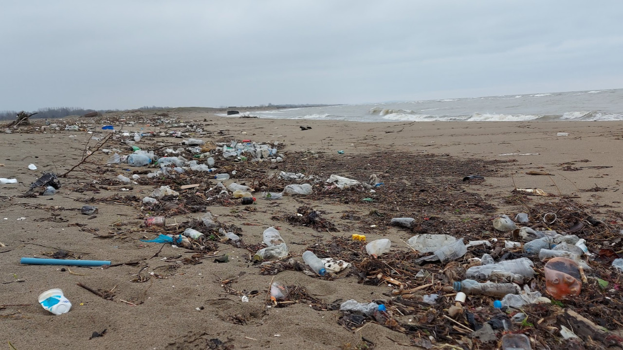 Karadeniz'de plajların yüzde 90'ı kirli