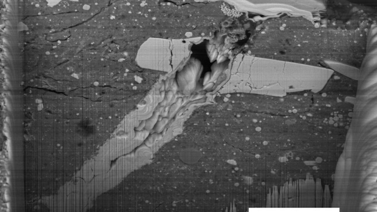 Milyonlarca kilometre öteden gelen 'hazine'