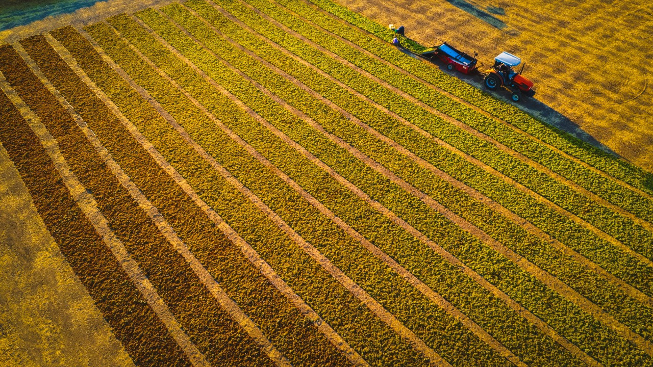 Açıklanan fiyata tepki büyük: Kelime oyunu, algı operasyonu