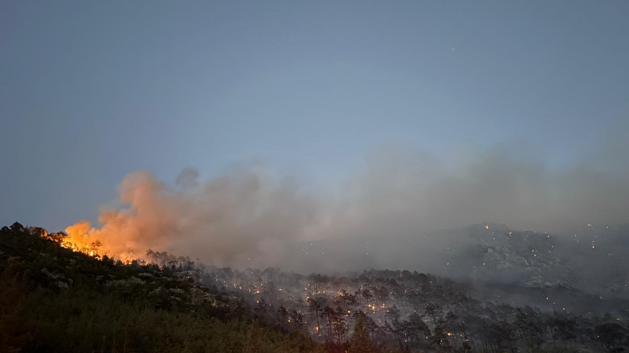 Pamukkale yangınından güzel haber