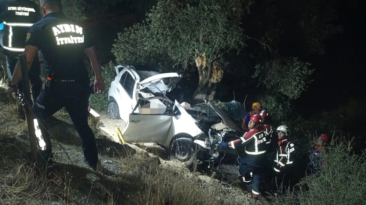 Araç şarampole uçtu, bir tek Serin sağ kaldı