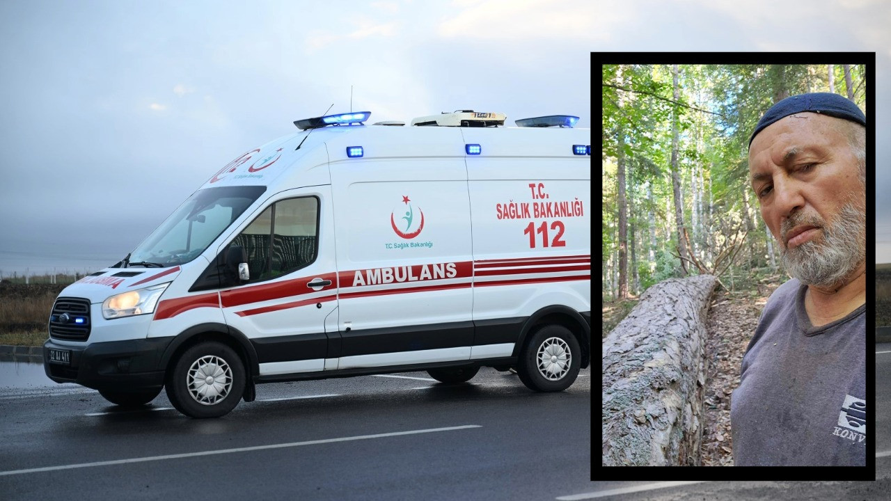 Ayağına tomruk düştü, ambulansta öldü