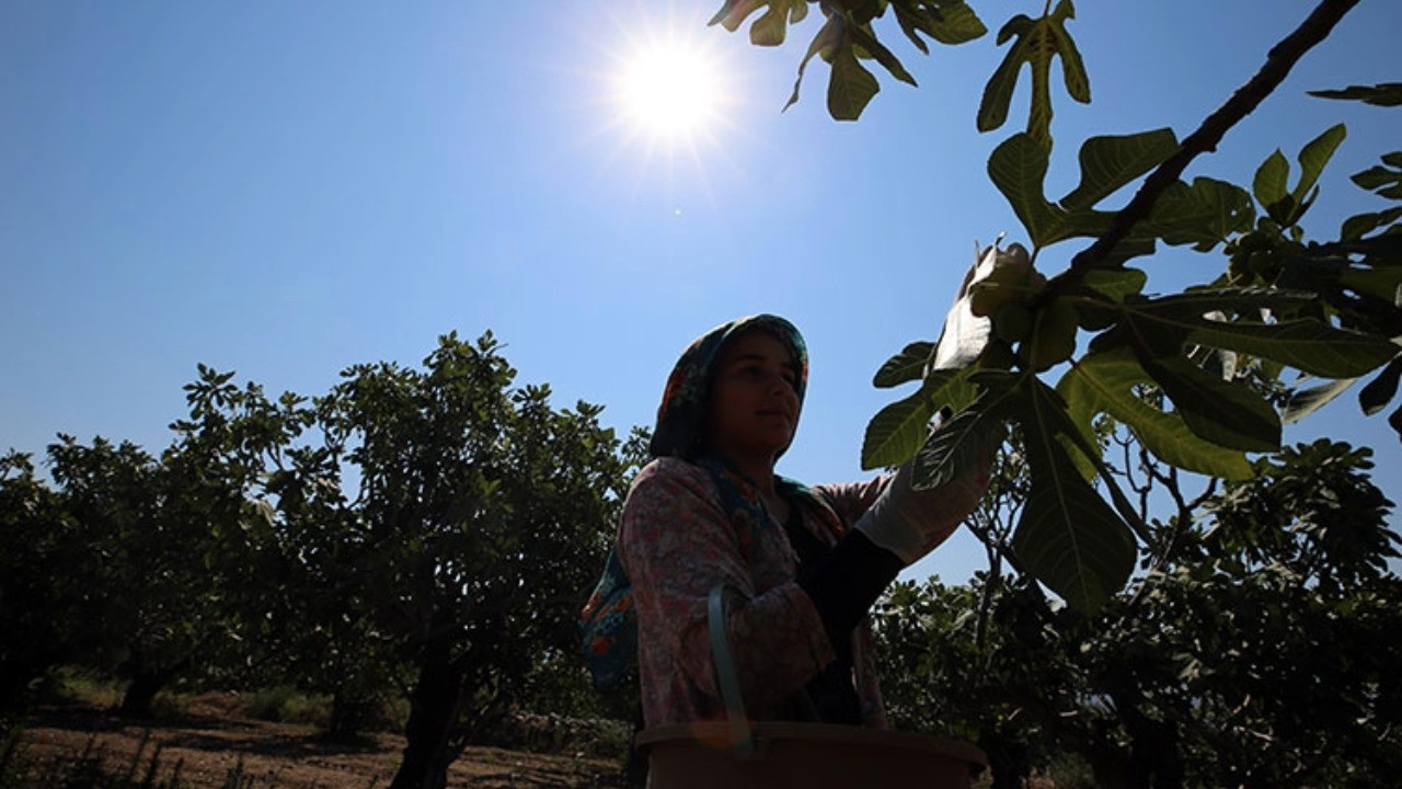 İsyan etti: 150 liraya alıp yüzde 600 fazlasına satıyorlar