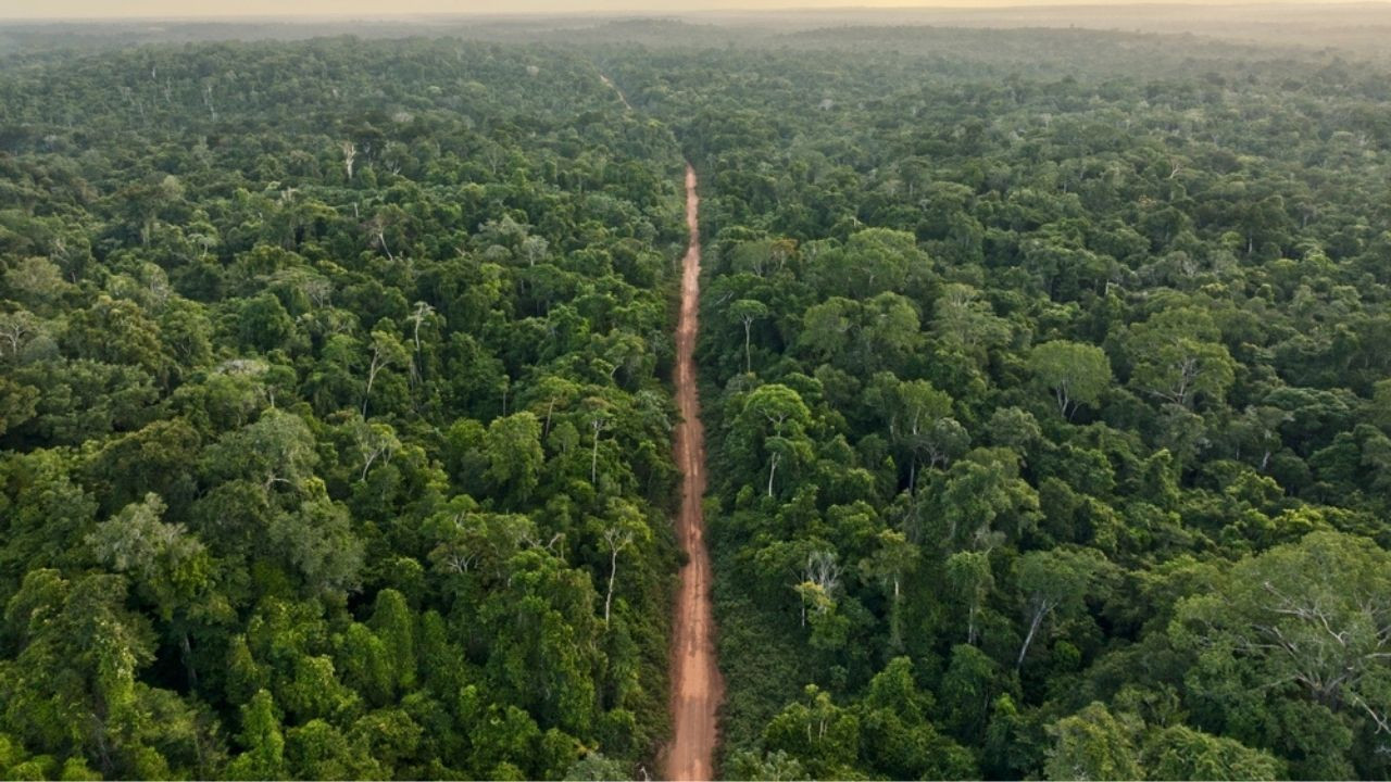 Araştırma: Her yıl 28 bin kişiyi öldürüyor