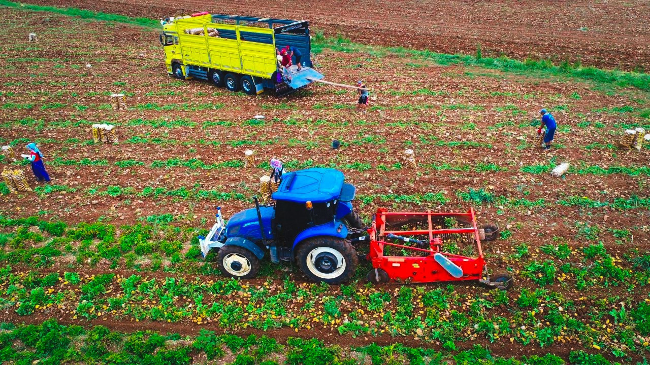 Sattıkları fiyatla raflardaki etiketleri karşılaştırdı: Yüzde 300 fark var