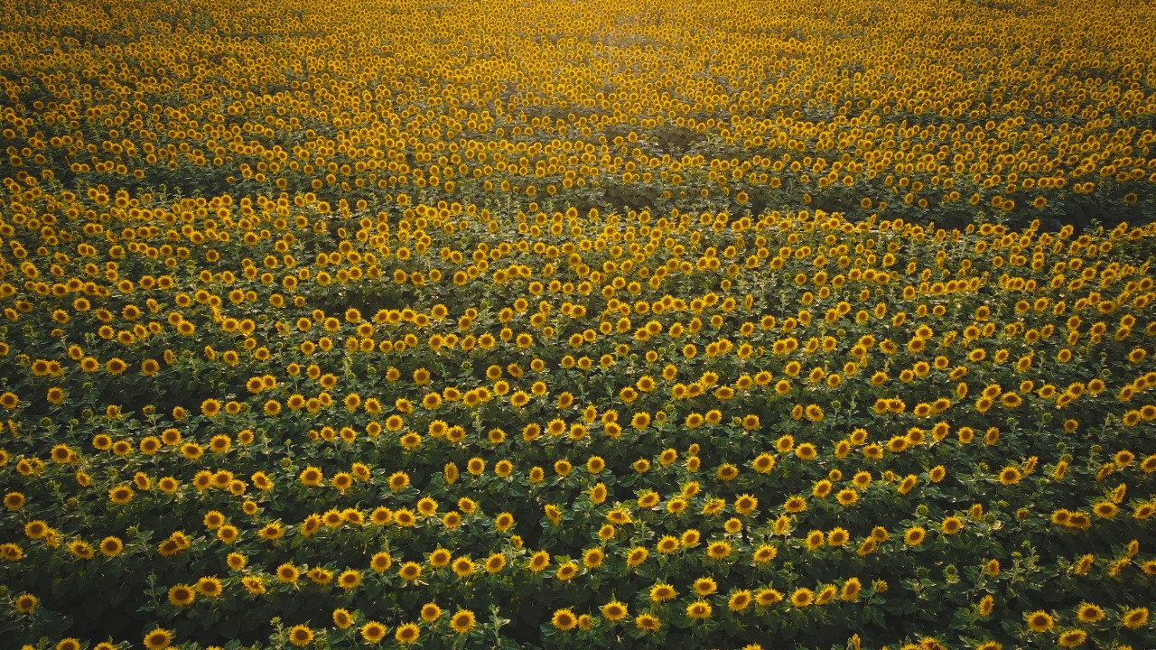 Son tarihi hatırlatıp uyardı: Bizi daha tehlikeli günler bekliyor