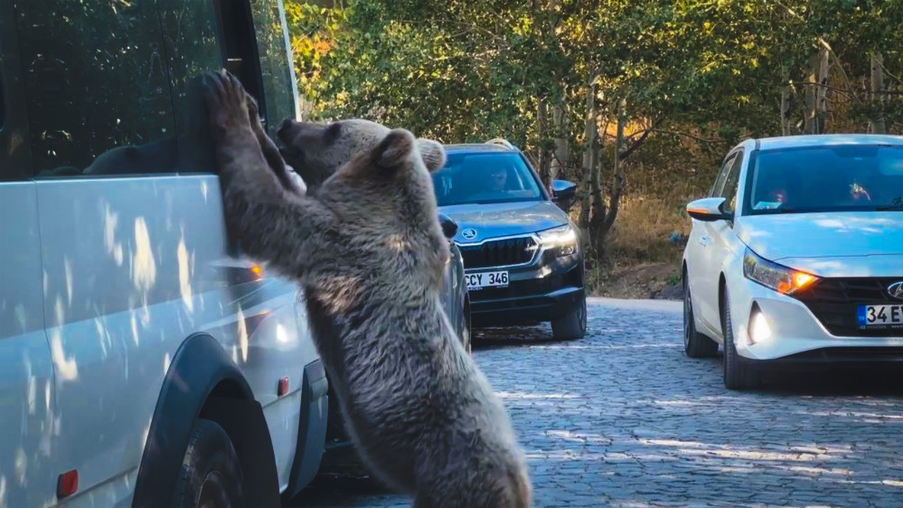 Canını son anda kurtardı