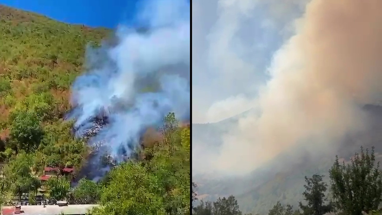 Milli parkta yangın