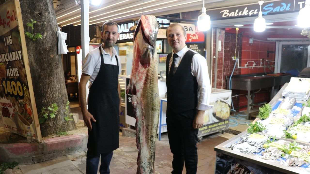 Saatlerce uğraşıp yakaladılar: Boyu 2 metre 20 santimetre