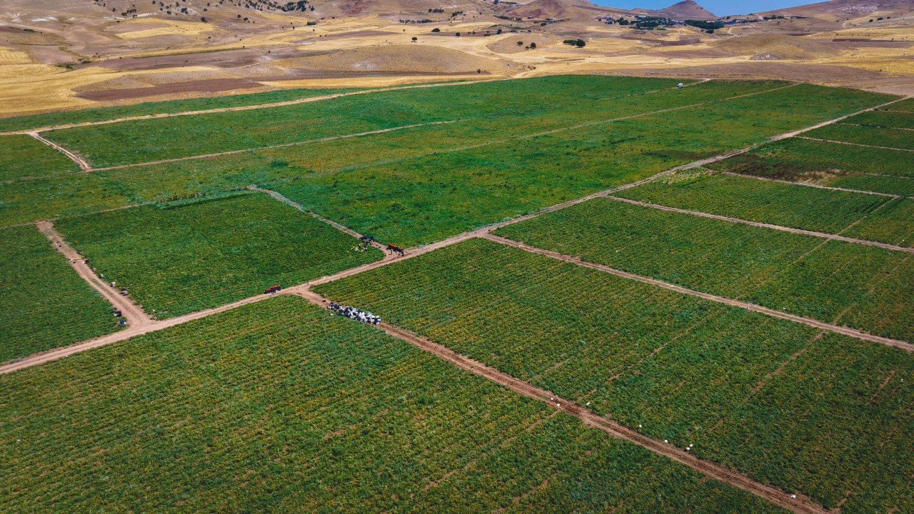 Vatandaşa seslendi: Dışarıda 25 TL'ye alıyorsunuz, bizde 8 TL