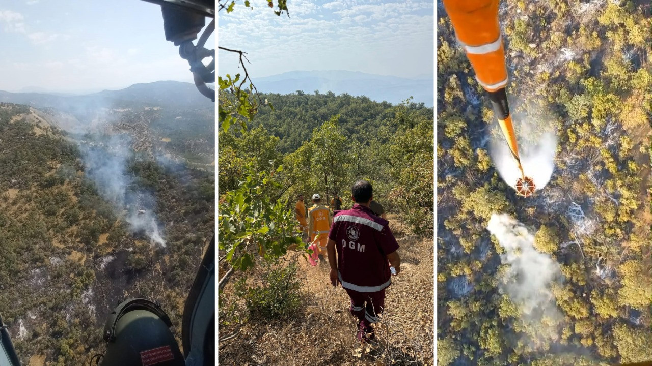 Şırnak'ta orman yangını