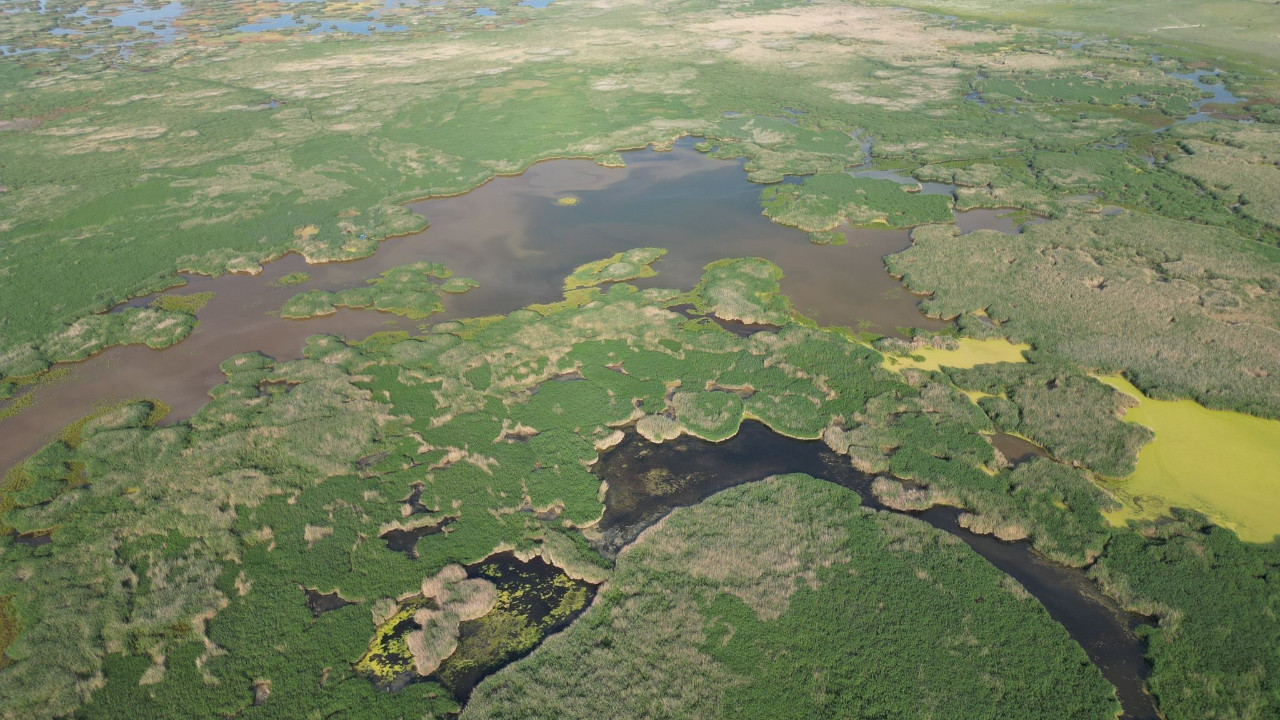 Valilik duyurdu: Giriş çıkışlar yasaklandı