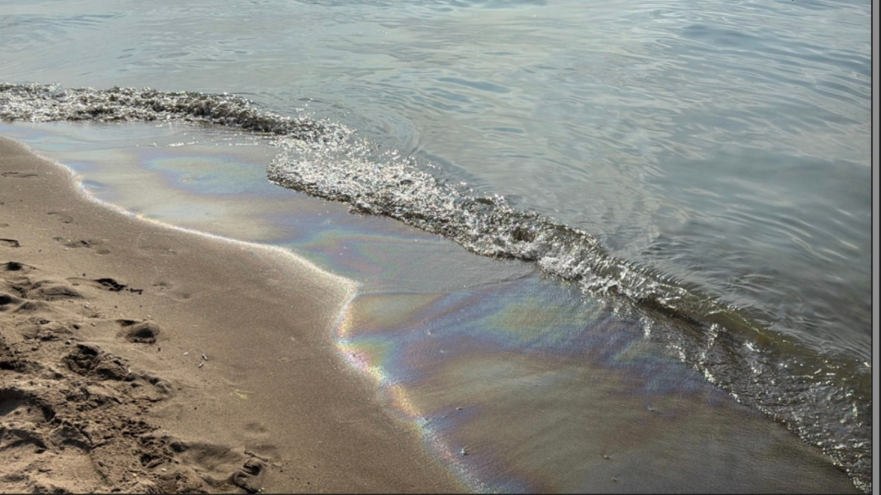 Mavi bayraklı plajı kirleten gemiye 11 milyon TL'lik ceza